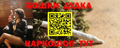 гашик Новозыбков