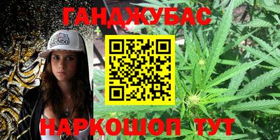 гашик Новозыбков