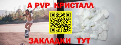 гашик Новозыбков