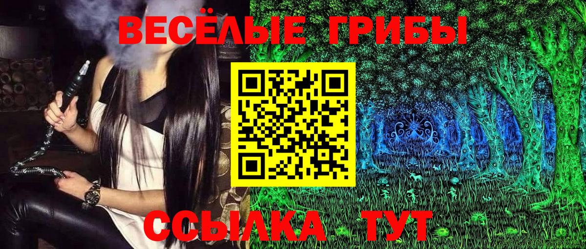 купить  сайты  Вход с VPN  Псилоцибиновые грибы Cubensis  Барабинск  Псилоцибиновые грибы Magic Shrooms 